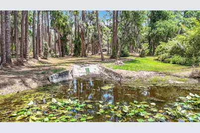 7374 Circle Drive, Lady Lake, FL 32159 - Photo 49