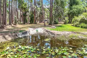 7374 Circle Dr, Lady Lake, FL 32159 - Photo 49