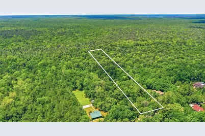 Delk Road, Longwood, FL 32779 - Photo 9