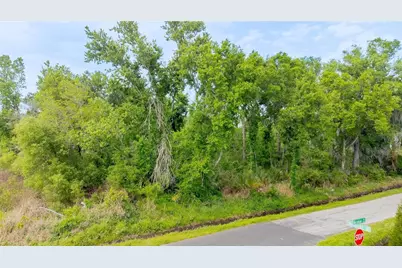 Hickman Avenue, Plant City, FL 33563 - Photo 1