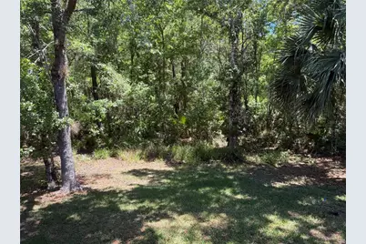 683 Evening Sky Drive, Oviedo, FL 32765 - Photo 27