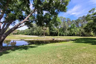 432 Baytree Blvd, Tavares, FL 32778 - Photo 37