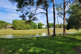 432 Baytree Blvd, Tavares, FL 32778 - Photo 45