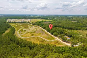 2132 Pine Meadows Golf Course Rd, Eustis, FL 32726 - Photo 59