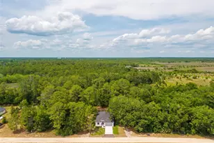 2132 Pine Meadows Golf Course Rd, Eustis, FL 32726 - Photo 51