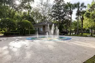 30201 Hackney Loop, Mount Dora, FL 32757 - Photo 45