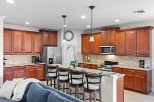 30201 Hackney Loop, Mount Dora, FL 32757 - Photo 17