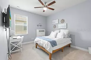 30201 Hackney Loop, Mount Dora, FL 32757 - Photo 23