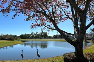 12718 Windermere Isles Pl, Windermere, FL 34786 - Photo 57
