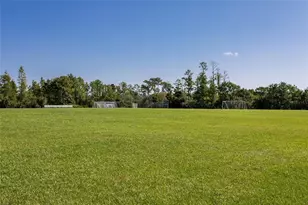 13225 Sharswood Cir, Orlando, FL 32828 - Photo 59