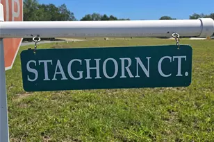 14025 Stag Horn Ct, Astatula, FL 34705 - Photo 43
