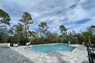 17135 Cagan Crossings Blvd, Clermont, FL 34714 - Photo 21