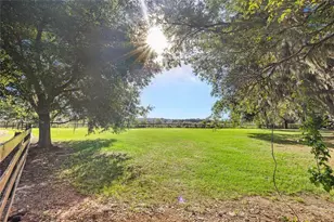 10925 Arrowtree Blvd, Clermont, FL 34715 - Photo 3