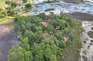 10925 Arrowtree Blvd, Clermont, FL 34715 - Photo 81