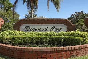 10520 Gleam Ct, Orlando, FL 32836 - Photo 57