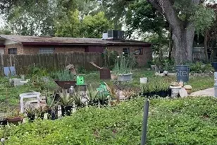 6800 Anoka Dr, Orlando, FL 32818 - Photo 27