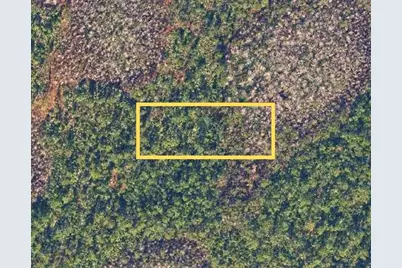 E Colonial Drive, Christmas, FL 32709 - Photo 1
