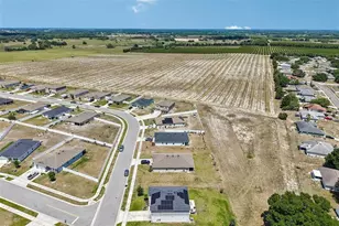 2082 Ficus St, Mascotte, FL 34753 - Photo 21