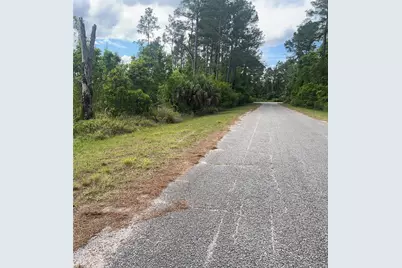 Banyan Street #Unit No. 1, Eustis, FL 32736 - Photo 3