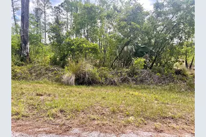 Banyan Street #Unit No. 1, Eustis, FL 32736 - Photo 5
