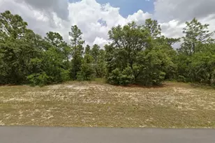 0 138th St St, Ocala, FL 34473 - Photo 1