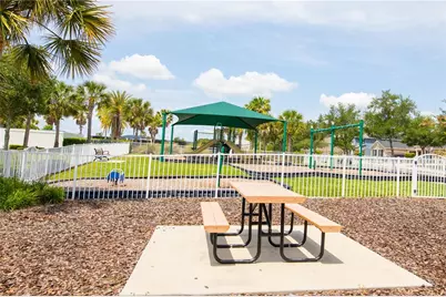 15665 Citrus Harvest Road, Winter Garden, FL 34787 - Photo 45