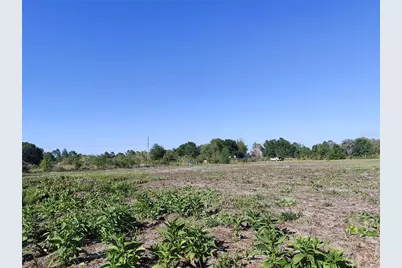 4535 Sarver Avenue, Lake Wales, FL 33859 - Photo 13