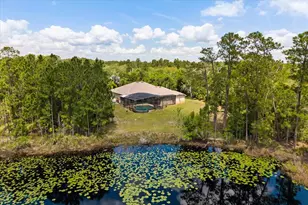 420 Valley Stream Dr, Geneva, FL 32732 - Photo 49