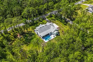 3805 Lakeview Acres Rd, Saint Cloud, FL 34772 - Photo 59