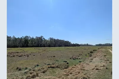 Deen Still Road E, Polk City, FL 33868 - Photo 5