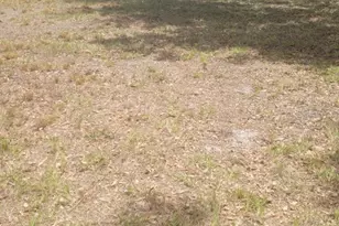 0 Central Ave, Mulberry, FL 33860 - Photo 1