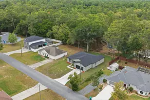 8416 N Triana Dr, Citrus Springs, FL 34434 - Photo 33