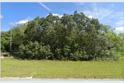 00 Malauka Rd #40, Ocklawaha, FL 32179 - Photo 1