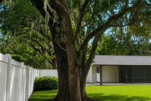 9917 Nicoma Ln, Orlando, FL 32817 - Photo 33
