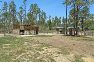 20701 County Rd 44A, Eustis, FL 32736 - Photo 27