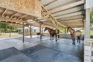 20701 County Rd 44A, Eustis, FL 32736 - Photo 29