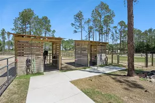 20701 County Rd 44A, Eustis, FL 32736 - Photo 25