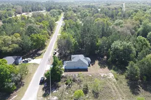 102 Malauka Trail, Ocklawaha, FL 32179 - Photo 5
