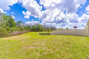 1419 Fox Squirrel Dr, Davenport, FL 33897 - Photo 19
