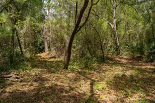 3 Old Post Rd, Longwood, FL 32779 - Photo 53