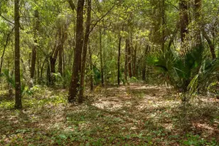 3 Old Post Rd, Longwood, FL 32779 - Photo 49