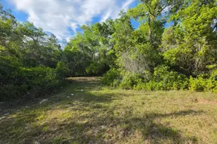 20940 SE 141st Ln, Umatilla, FL 32784 - Photo 35