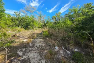 20940 SE 141st Ln, Umatilla, FL 32784 - Photo 5