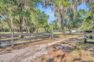 495 1st St, Geneva, FL 32732 - Photo 35