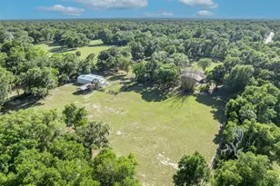 495 1st St, Geneva, FL 32732 - Photo 39