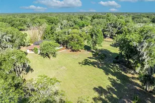 495 1st St, Geneva, FL 32732 - Photo 41