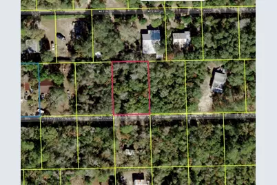 Ne 239th Pl, Fort Mc Coy, FL 32134 - Photo 1