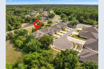 19233 Barred Owl Court, Land O Lakes, FL 34638 - Photo 3