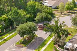 19233 Barred Owl Ct, Land O Lakes, FL 34638 - Photo 23