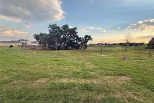 4005 Westwood Fields Loop, Plant City, FL 33565 - Photo 37